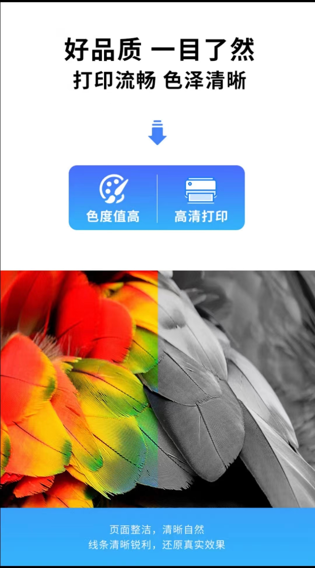 b9d5fc7e0ac195d62f14f065f6bc8a7.jpg