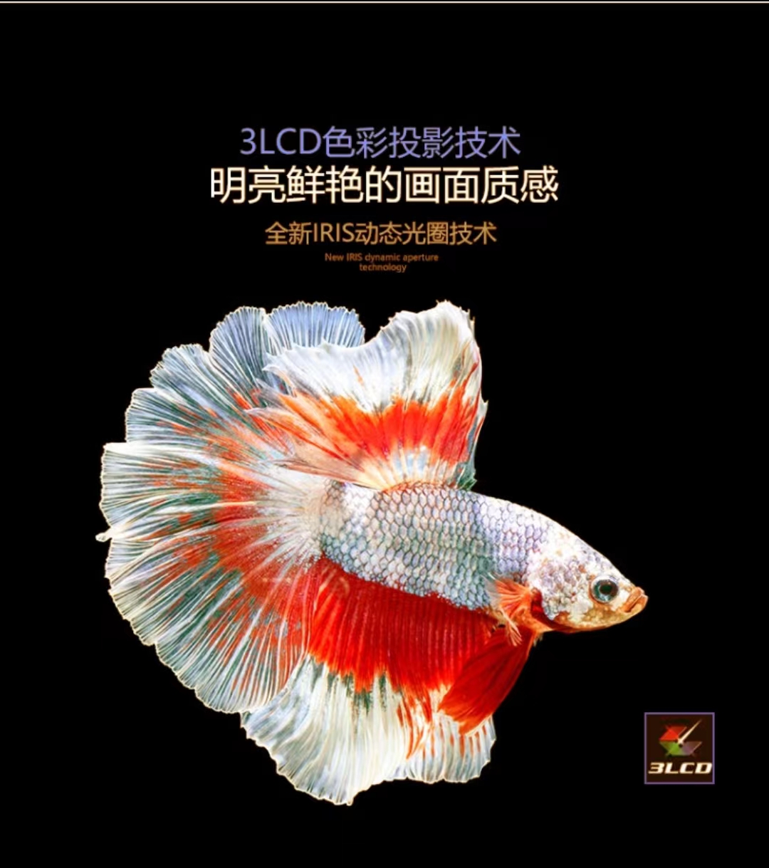 50c0bd10bfc6f16db744bb2586e57b6.jpg